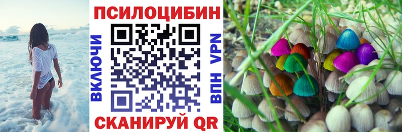 Галлюциногенные грибы прущие грибы  Купить закладки  Кумертау 